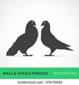 Two pigeons love vector one color silhouettes male and female pigeons vector icons / simple pigeons family image