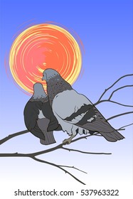 Two pigeons on the branch
