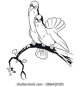 Two pigeons on branch. Curious birds. Illustration for internet and mobile website. Stock illustration.