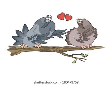 Two Pigeons sitting on the Branch