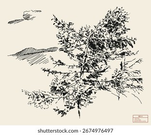 Two pine trees on mountain top. Simple linear sketch drawn from nature