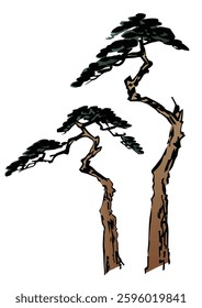 Two pine trees seen from the side