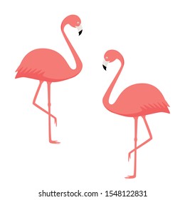 Two pink coral flamingos on a white background. Vector image of exotic birds.