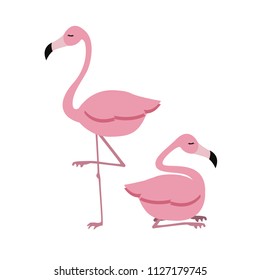 two pink flamingo