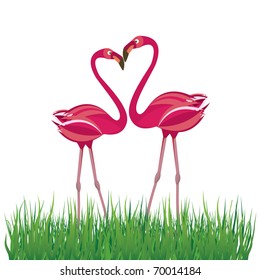 Two pink flamingo in love. Vector illustration