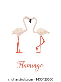 Two pink flamingo set. Exotic tropical bird. Decoration element. Flat design. White background. Vector illustration.