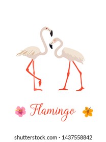 Two pink flamingo set. Exotic tropical bird. Decoration element. Flat design. White background. Vector illustration.