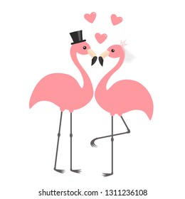 Two pink flamingo set. Wedding couple. Bride and groom. Black hat, veil, heart. Happy Valentines Day. Exotic tropical bird. Cute cartoon character. Zoo animal. Flat design. White background Vector