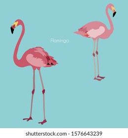 Two pink flamingo vector illustration. Picture with exotic birds on a blue background. Endless pattern. EPS 10