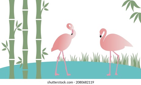 Two pink flamingos in bamboo forest