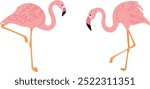 two pink flamingos, birds, vector