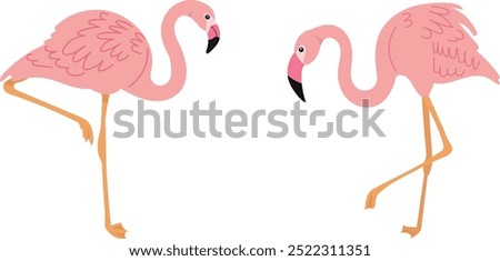 two pink flamingos, birds, vector