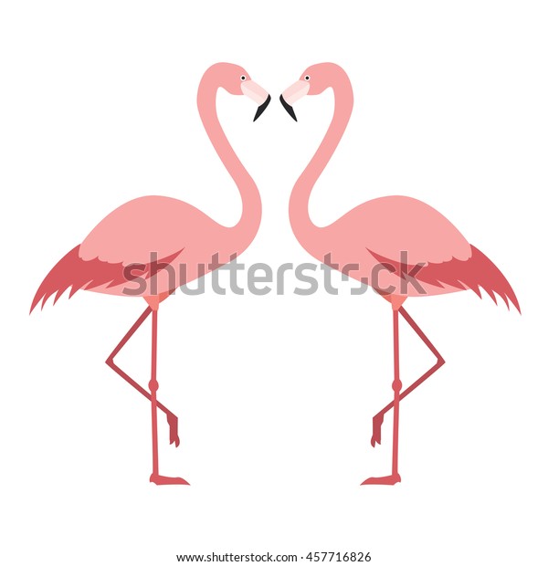 ピンクのフラミンゴ2羽 愛 かわいいベクターイラスト のベクター画像素材 ロイヤリティフリー