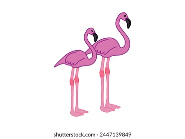 Two pink flamingos on white background.