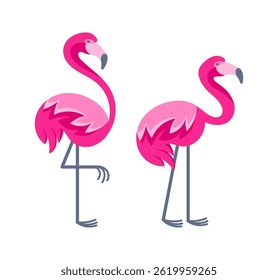 Two pink flamingos standing on one leg and showing their plumage