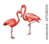 Two pink flamingos. Vector illustration of tropical birds in a watercolor style. Design element for invitations, greeting cards, summer banners.