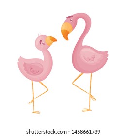 Two pink flamingos. Vector illustration on white background.