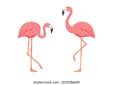 Two pink flamingos vector illustration isolated on white background