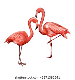 Two pink flamingos. Vector illustration of tropical birds in a watercolor style. Design element for invitations, greeting cards, summer banners.