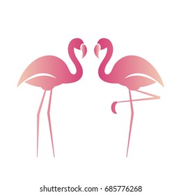 Two pink flamingos. Vector illustration.