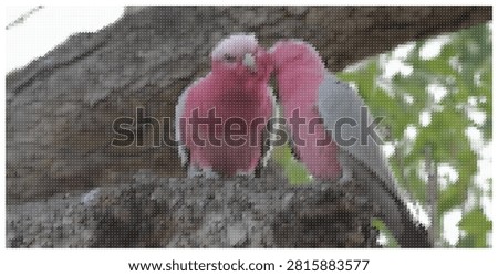 Two pink and grey rose breasted cockatoos bonding in pixelated style. Vector illustration showing affection between australian birds in nature.
