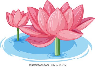 Two pink lotus in water illustration