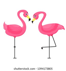 Two pink standing flamingo facing each other, male and female flamingo