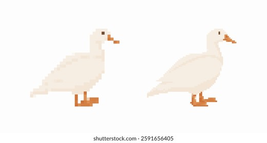 Two pixel art ducks with white bodies and orange beaks, each facing a different direction.