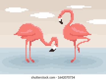 Two pixel art flamingos are standing in the water. Sky with clouds on the background. Cute vector illustration. 