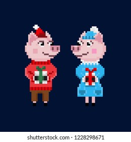 Two pixel christmas pigs in warm clothes isolated on blue background.