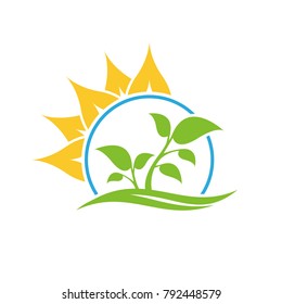 Two plant with sunbeam. Leaf logo. Color tree logo. Leaf and sea icon. 
