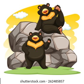 Two playful bears near the big rocks on a white background