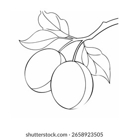 Duas ameixas em um galho com folhas natureza de fruto