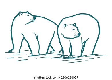 Two polar bear on pack ice