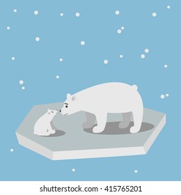 Two polar bears on ice floe