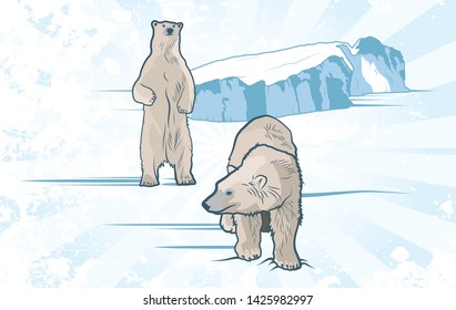 Two Polar Bears in the Snow