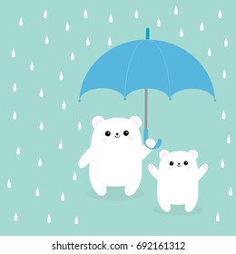 Two polar white small little bear cub holding umbrella. Rain drops. Cute cartoon baby character. Arctic animal collection. Love card Blue background. Isolated. Vector illustration