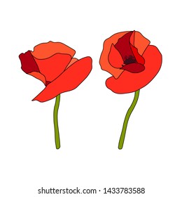 Two Poppy red flowers heads and stems. Anzac. Side view. Flat sketch style. Scarlett petals. Day of Remembrance. Vector illustration. Papaveroideae. Papaver somniferum. cards invitation decoration