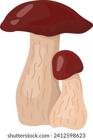 Two porcini mushrooms, one larger than the other, with reddish-brown caps and cream stems. Edible forest fungi vector illustration.