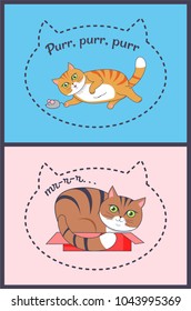 Two posters with nice striped cats vector illustration of sitting in box and playing with mouse funny kittens isolated on blue and pink backgrounds