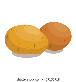 Two potato close up isolated on white background. Vector illustration.
