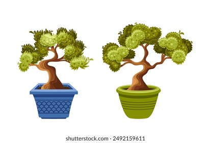 Two Potted Bonsai Trees With Different Pot Designs Isolated On White Background, Cartoon Vector Illustration