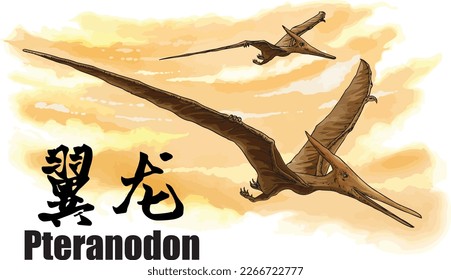 Two Pteranodons soar through the evening sky with their large wings spanning up to 33 feet. Their long beaks point forward, and their narrow bodies glide gracefully through the air. Vector drawing.