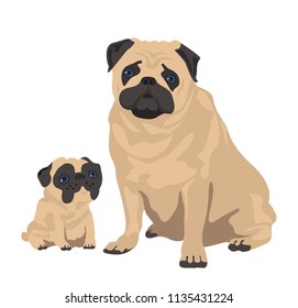 Two pugs. Vector Flat Isolated Illustration