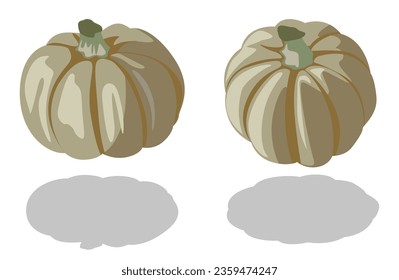 Two pumpkin levitate isolated on white background