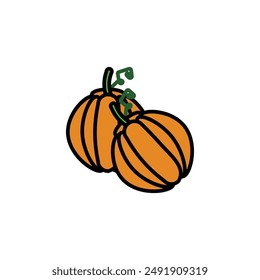 two pumpkin vector type icon