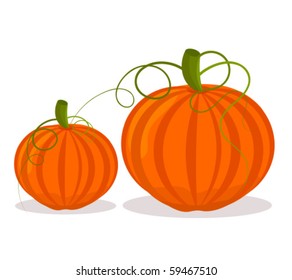 Two Pumpkins, Big And Small Over White