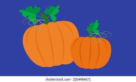 Dos calabazas, ilustración, vector, caricatura