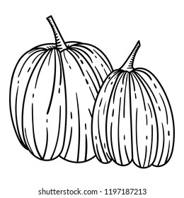 Two Pumpkins Isolated on White Background. Hand Drawn Ink Sketch. Vector illustration for Halloween or Thanksgiving. Engraving Retro Style