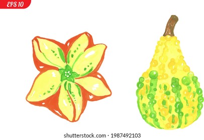 Two pumpkins isolated on a white background. Vector illustration. Pumpkins of different colors and shapes. EPS 10